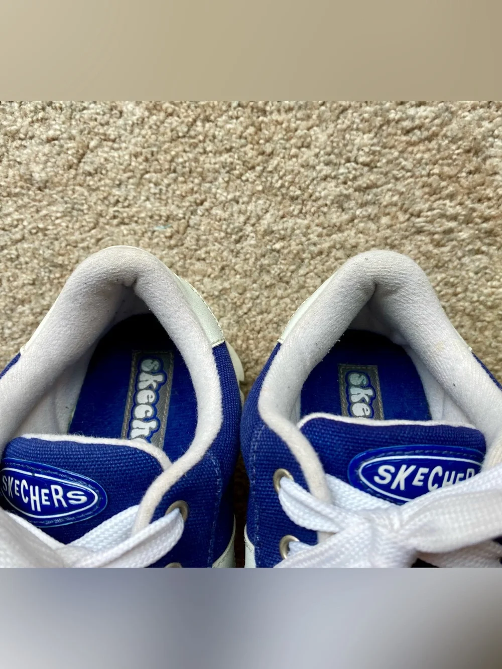 Skechers vintage canvas